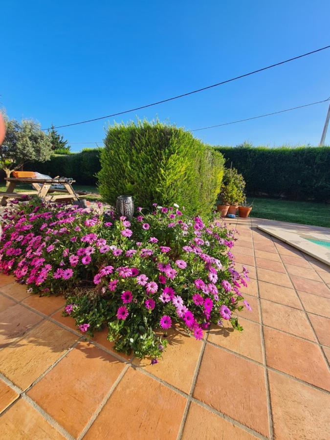Casa Ensolarada B&B And Pottery Алжезур Екстериор снимка