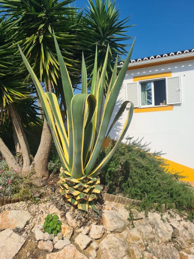Casa Ensolarada B&B And Pottery Алжезур Екстериор снимка